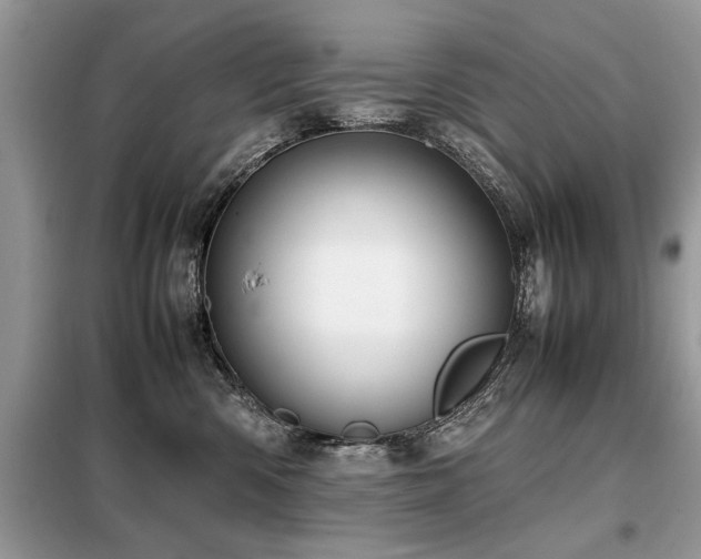 X0000099460426200805091533