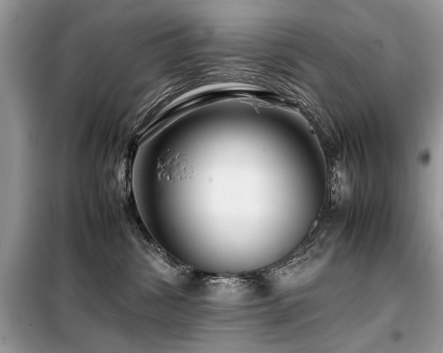 X0000099460428200805091533
