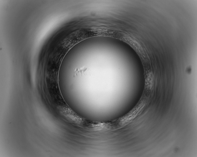 X0000099460430200805091533