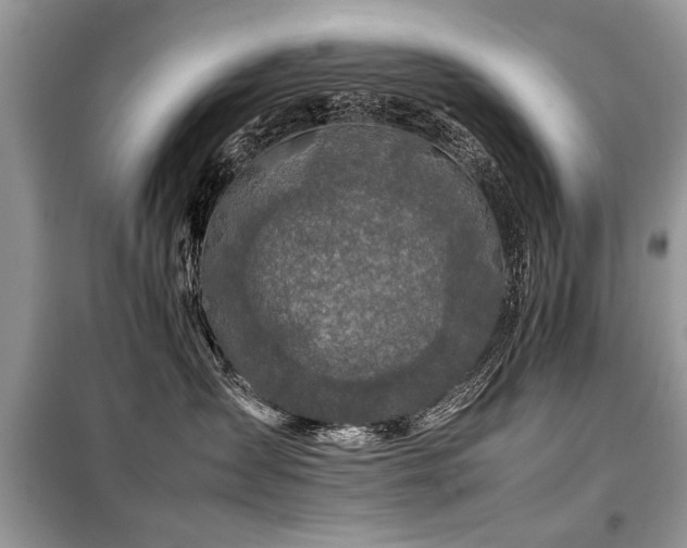 X0000099460431200805091533