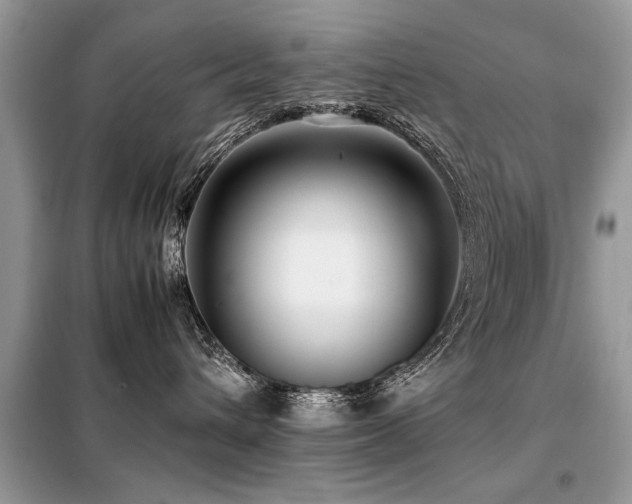 X0000099460432200805091533