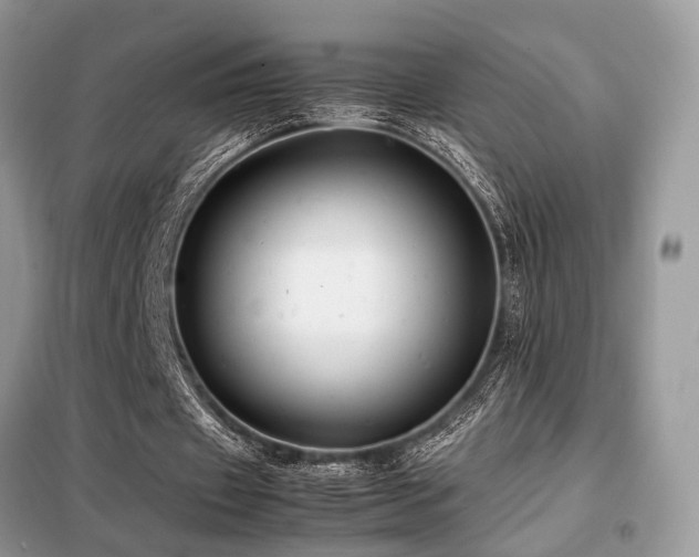 X0000099460433200805091532