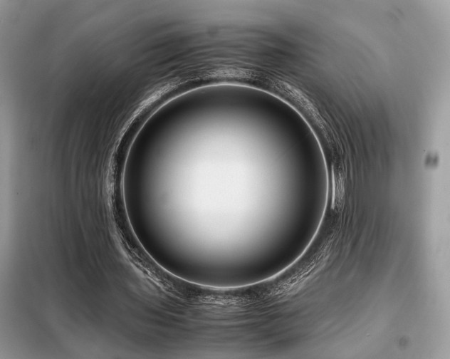 X0000099460435200805091532