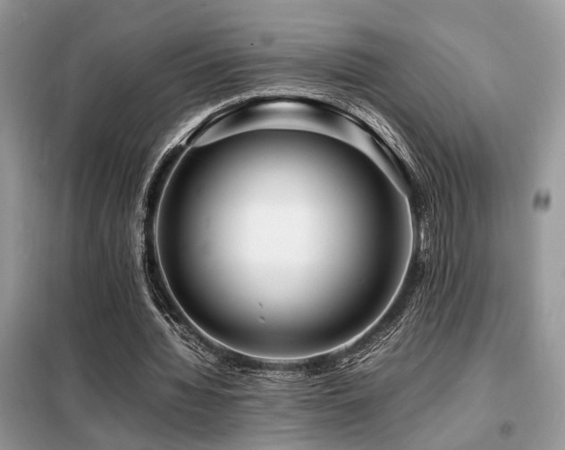 X0000099460436200805091532