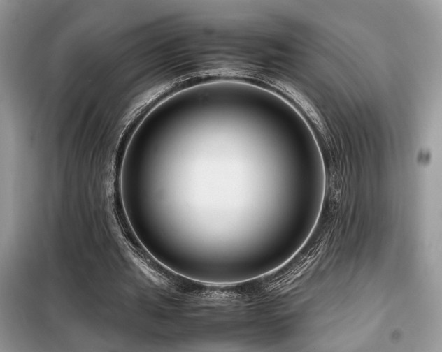 X0000099460437200805091532