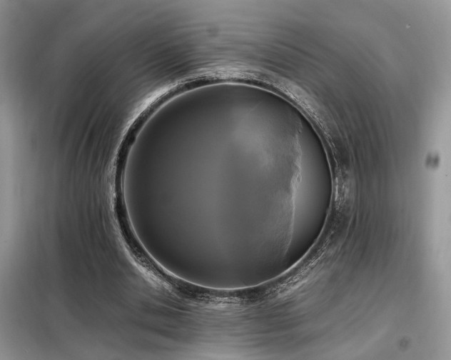 X0000099460438200805091532