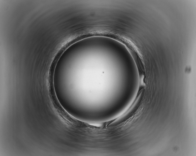 X0000099460439200805091532