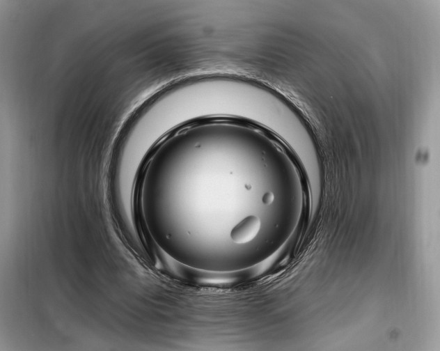 X0000099460440200805091532