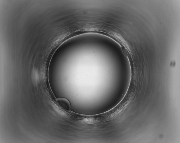 X0000099460441200805091532