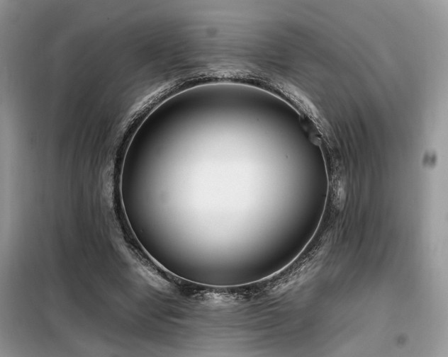X0000099460442200805091532
