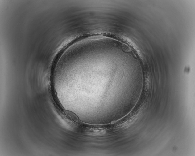X0000099460443200805091532