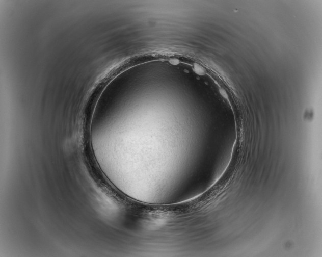 X0000099460444200805091532