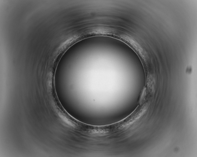 X0000099460445200805091532