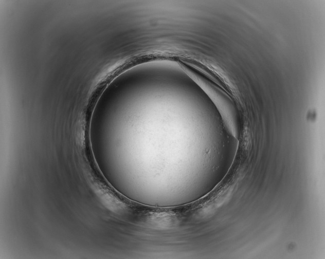X0000099460446200805091532