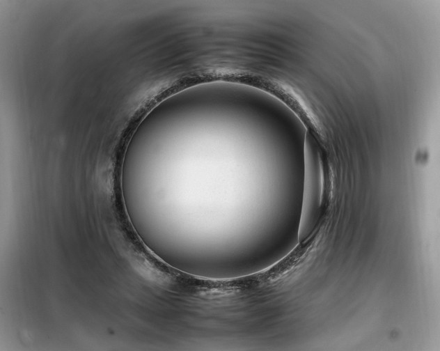 X0000099460447200805091532
