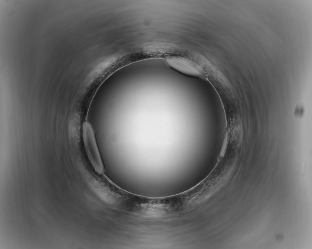 X0000099460448200805091532
