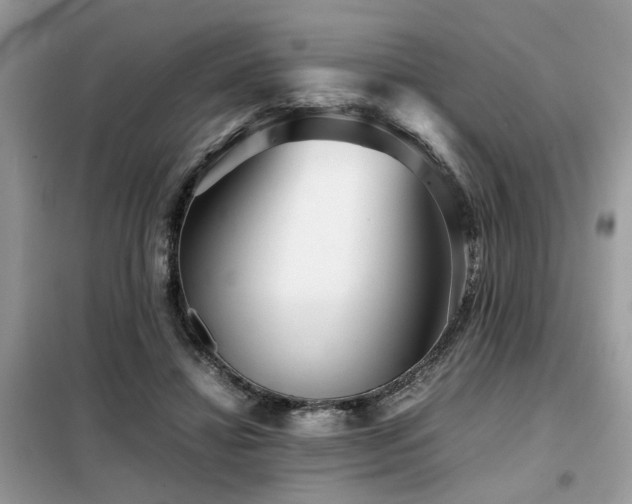 X0000099460452200805091532