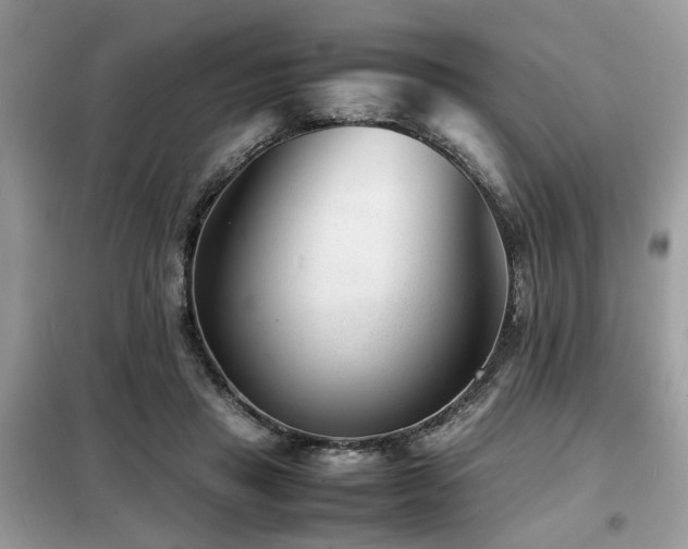 X0000099460453200805091532