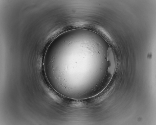 X0000099460454200805091532