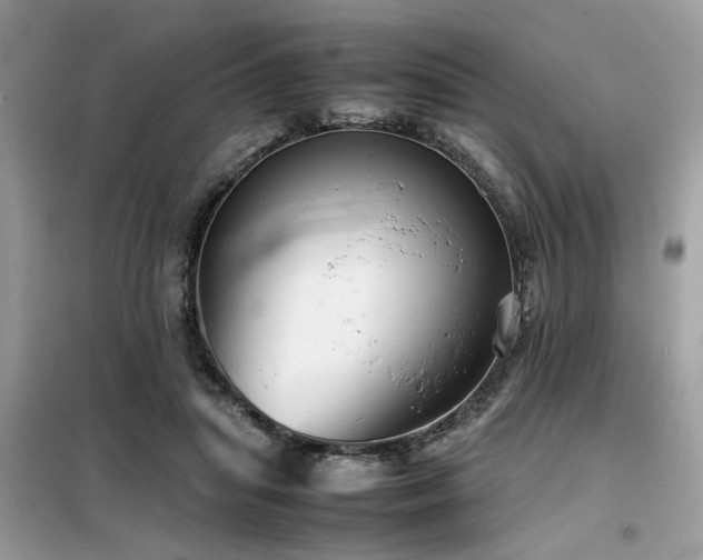 X0000099460455200805091532