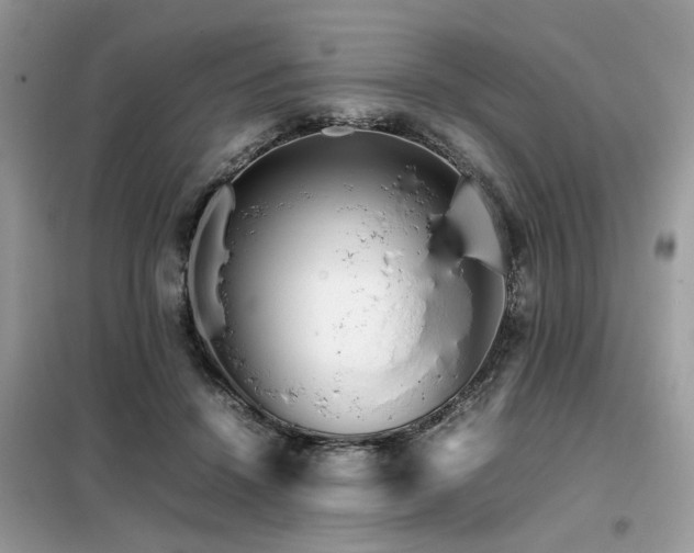 X0000099460456200805091532
