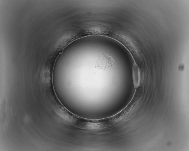 X0000099460457200805091532