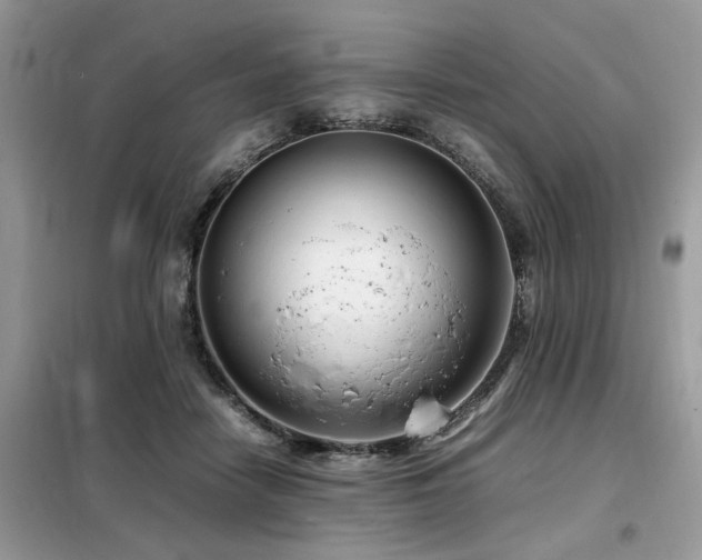 X0000099460458200805091532