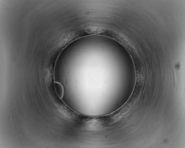 X0000099460460200805091532