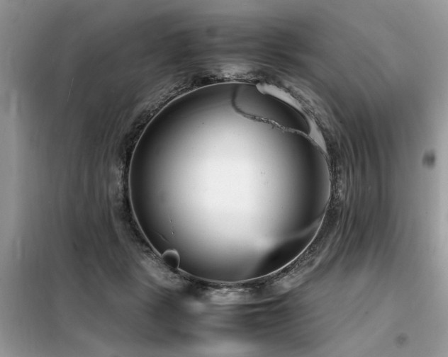 X0000099460461200805091532