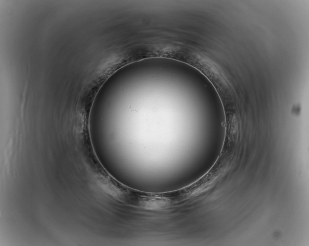 X0000099460463200805091532