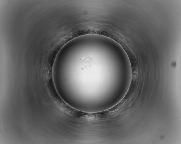 X0000099460464200805091532