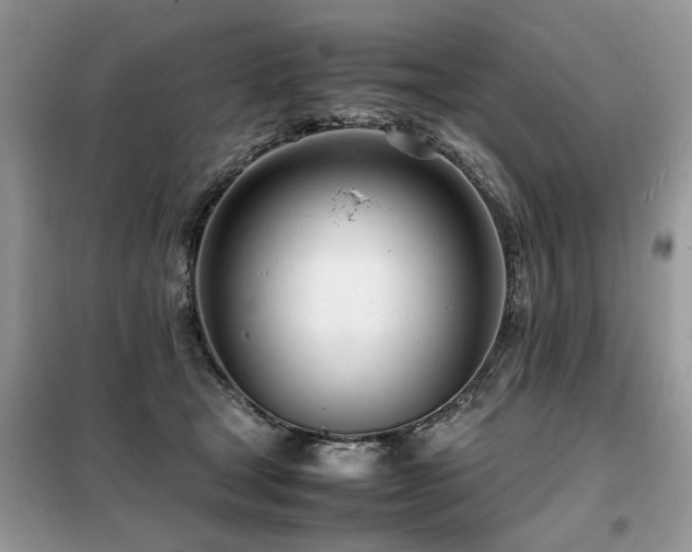 X0000099460465200805091532