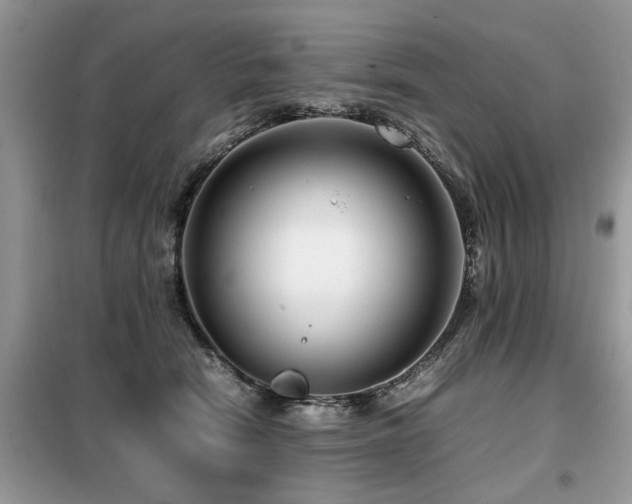 X0000099460466200805091532