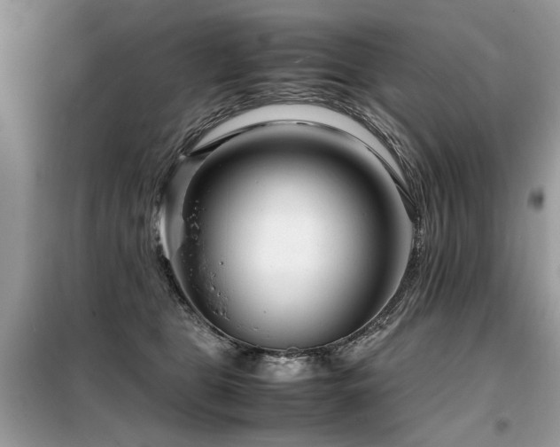 X0000099460469200805091533