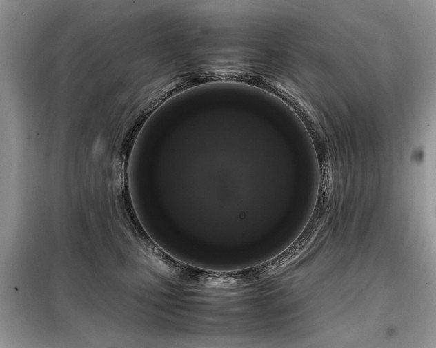 X0000099460471200805091533