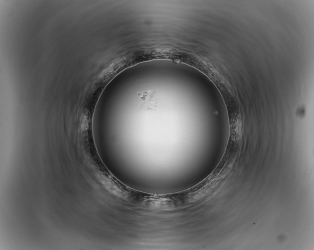 X0000099460472200805091533