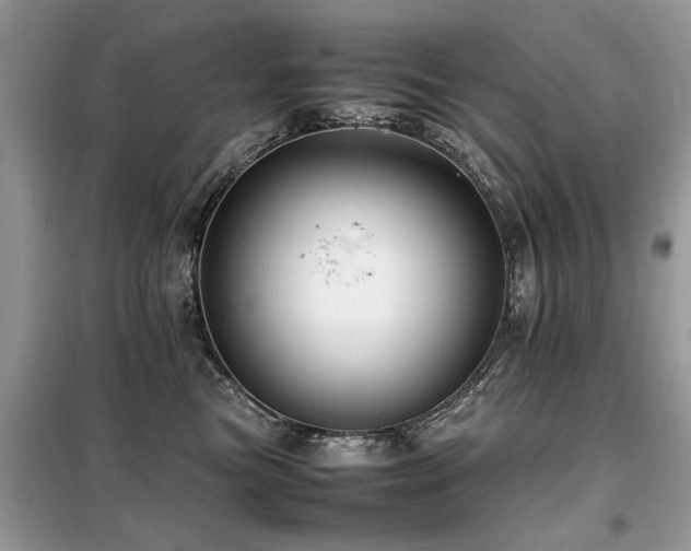 X0000099460473200805091533