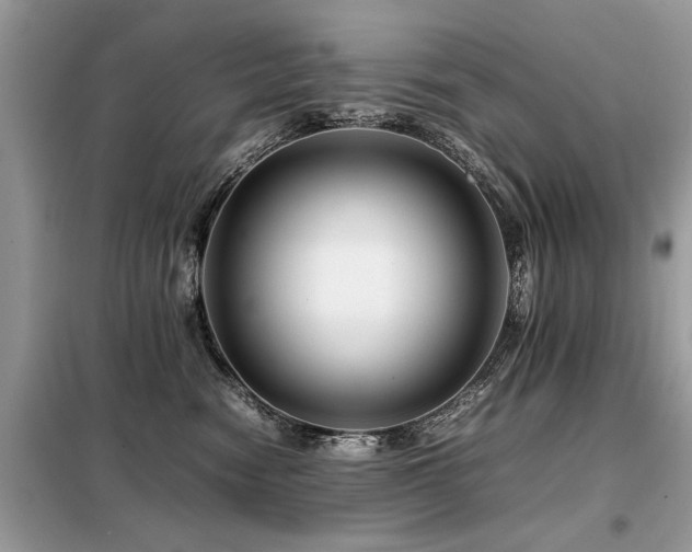 X0000099460474200805091533