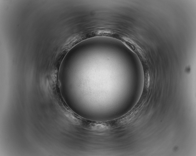 X0000099460475200805091533