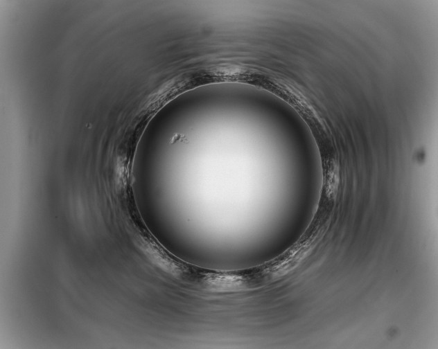 X0000099460476200805091533