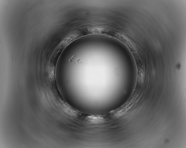 X0000099460477200805091533
