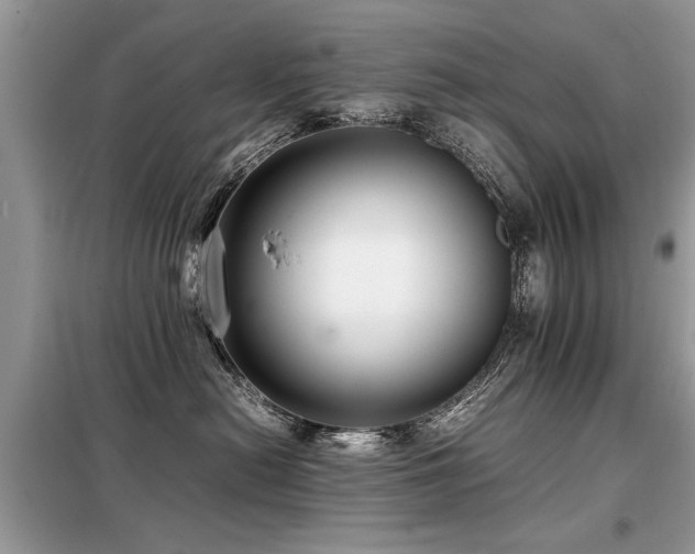 X0000099460478200805091533
