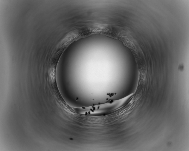 X0000099460479200805091533