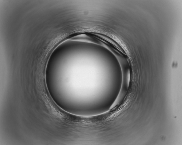X0000099460481200805091532
