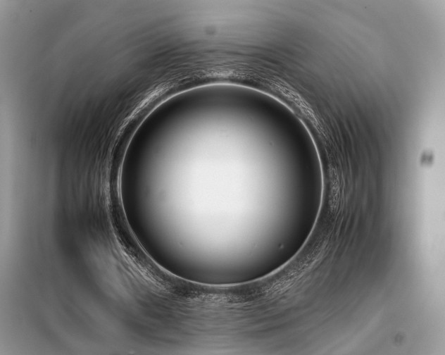 X0000099460482200805091532