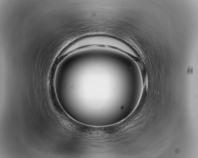 X0000099460483200805091532