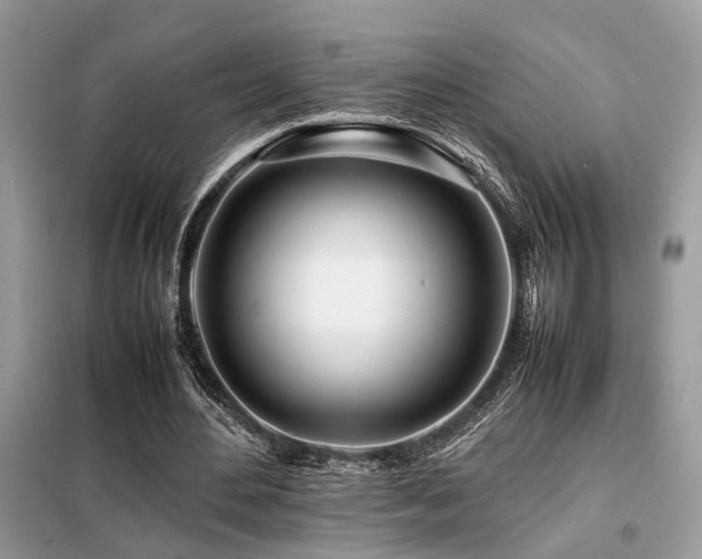 X0000099460484200805091532