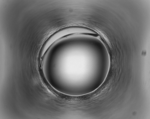 X0000099460485200805091532