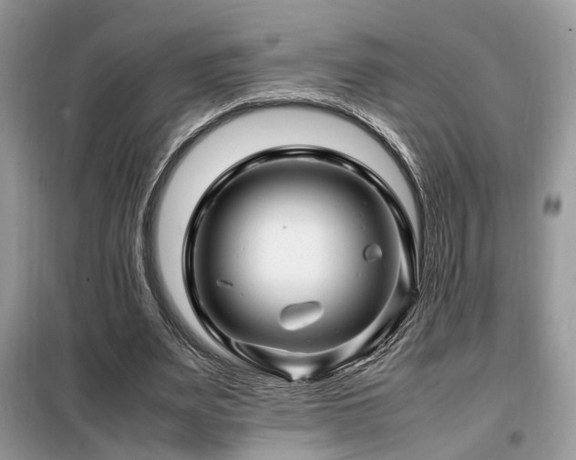 X0000099460487200805091532