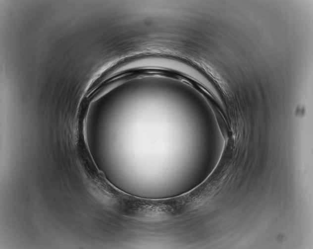 X0000099460488200805091532